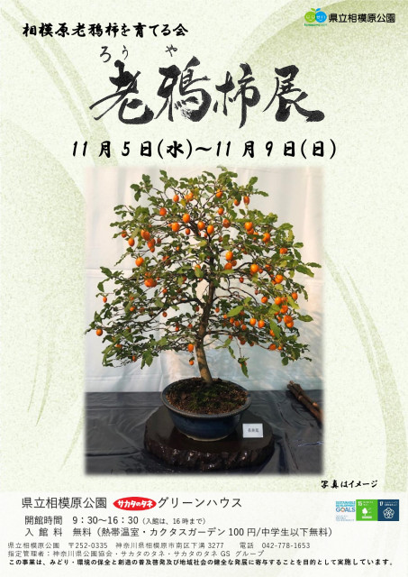 神奈川県立相模原公園「老鴉柿展」【相模原市】